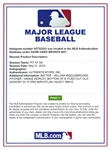 Will Middlebrooks 2015 Game Used Old Hickory Bat - Cracked (MLB Auth.)