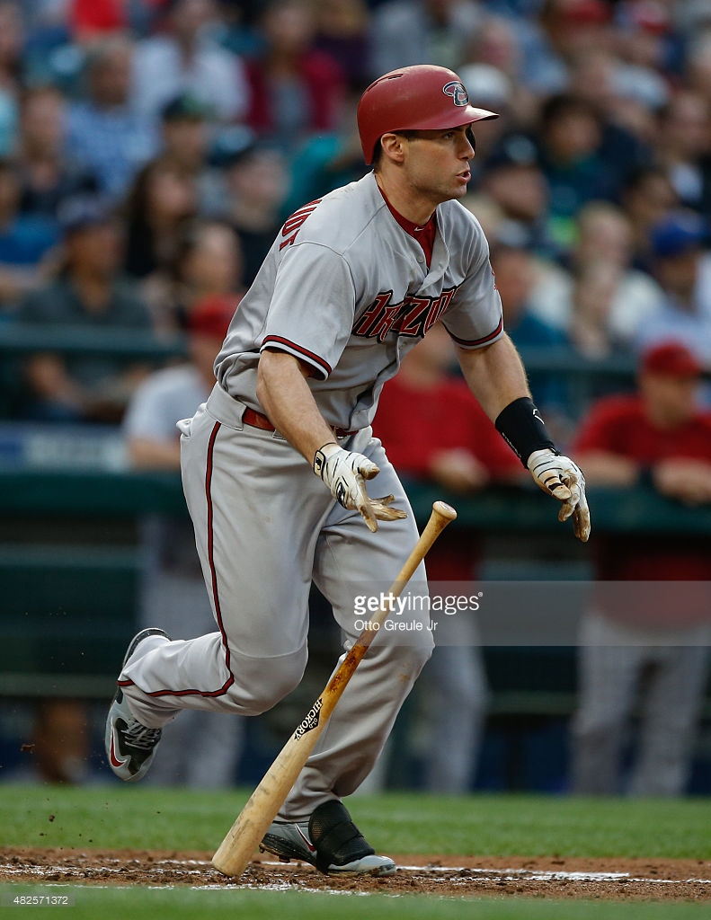 Lot Detail - Paul Goldschmidt 2015 Game Used Home Run Bat - 7/27