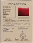 Muhammad Ali Autographed Boxing Glove - AKA Cassius Clay Inscription (JSA LOA)