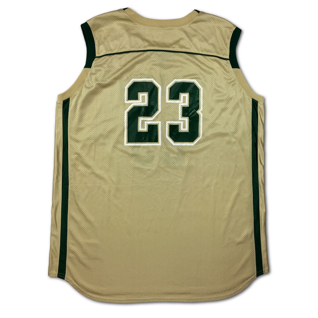 LeBron James Signed St. Vincent - St. Mary Fighting Irish Jersey